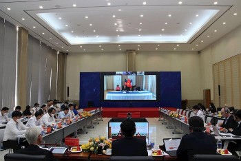 Virtual Seminar Introduces Binh Duong's Potential to French Firms
