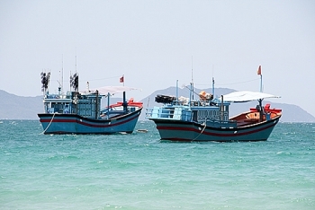 friendship association calls on international community to prevent unilateral activities in east sea