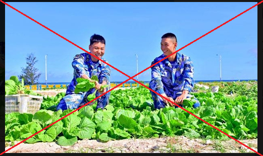 chinas vegetable cultivation on vietnams islands a bogus ploy