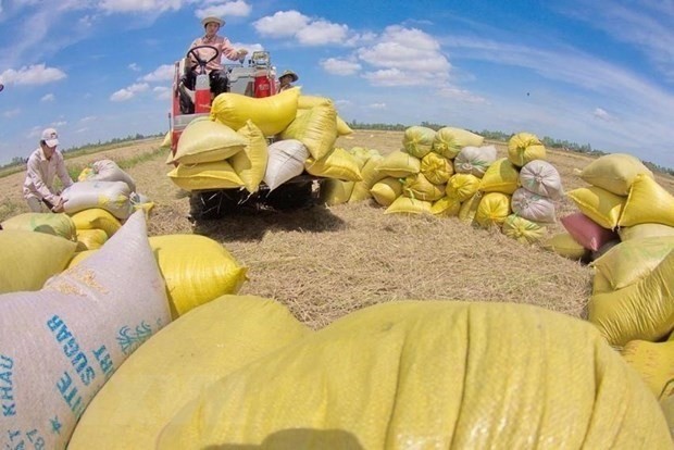 Vietnam Suggests The Philippines to Continue Facilitate Rice Imports