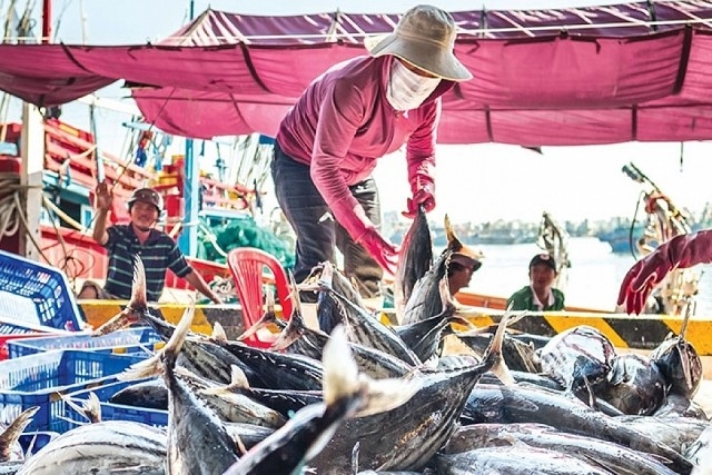 Gov’t rolls out plan to implement FAO agreement on deterring IUU fishing govt rolls out plan to implement fao agreement on deterring iuu fishing