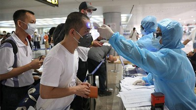 240 passengers from Singapore test negative for COVID 19 240 passengers from singapore test negative for covid 19