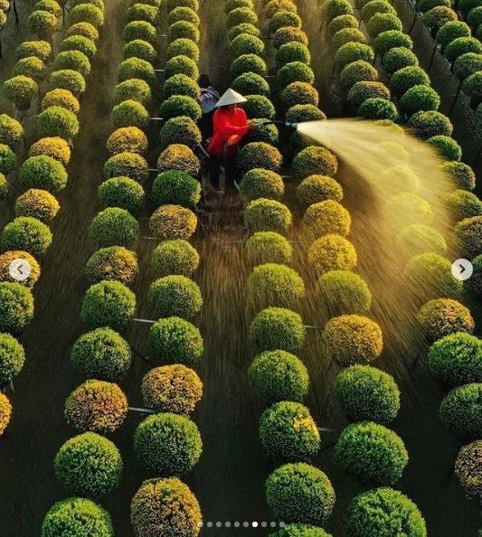 10 Photos Depicting Vietnamese Culture Win Praise on Instagram 10 Photos Depicting Vietnamese Culture Win Praise on Instagram