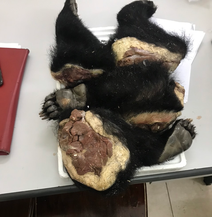 Vietnam Wildlife Trafficking Arrests Rise Vietnam Wildlife Trafficking Arrests Rise