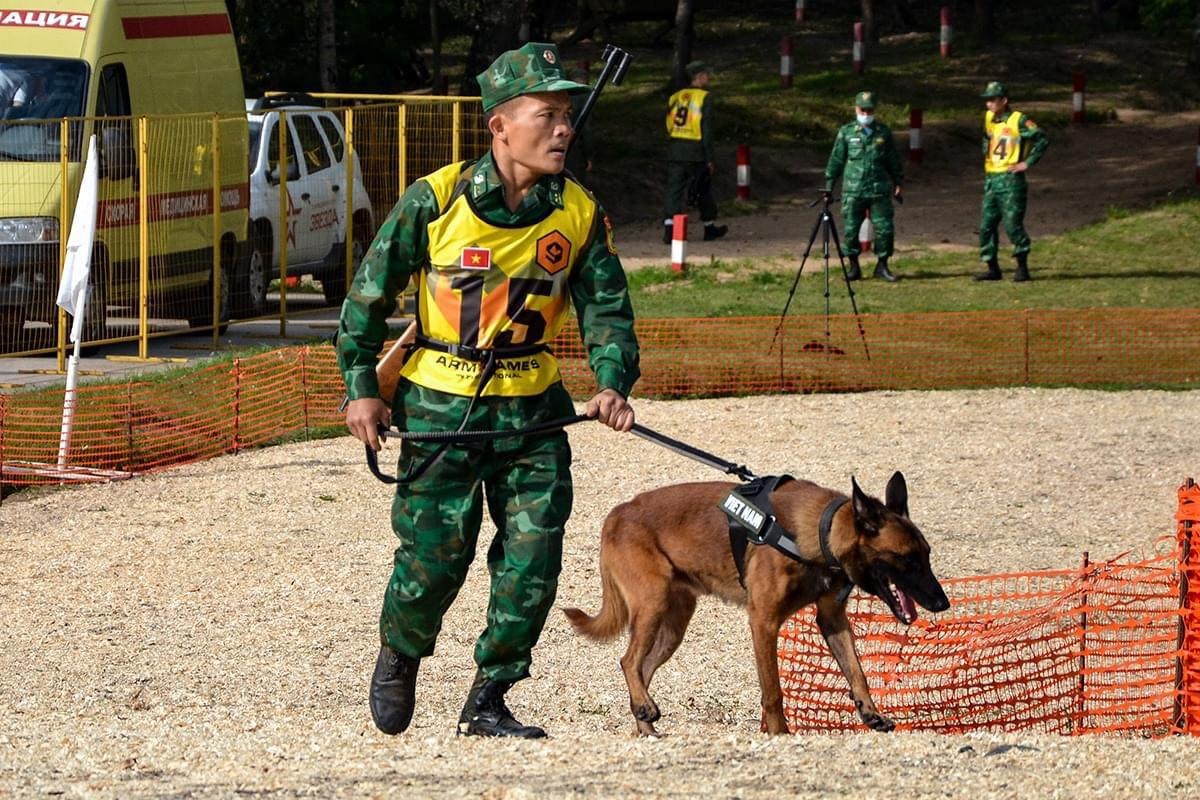 Outstanding results Vietnam teams gain at 2020 Army Games Outstanding results Vietnam teams gain at 2020 Army Games