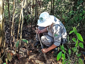 nearly 100 cluster munitions found in thua thien hue