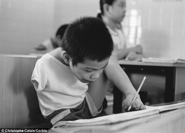 Vietnam Association of Victims of AO/dioxin expresses support to AO victim’s lawsuit VAVA calls for support to ao victim’s lawsuit