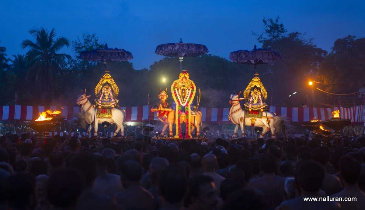 Vietnam, Sri Lanka step up to boost cooperation in tourism development Vietnam, Sri Lanka step up to boost cooperation in tourism development