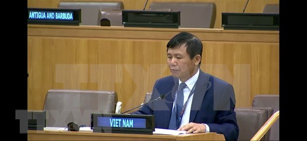 Int’l cooperation, solidarity key to COVID-19 response: Ambassador hình ảnh 1 Int’l cooperation, solidarity key to COVID-19 response: Ambassador hinh anh 1
