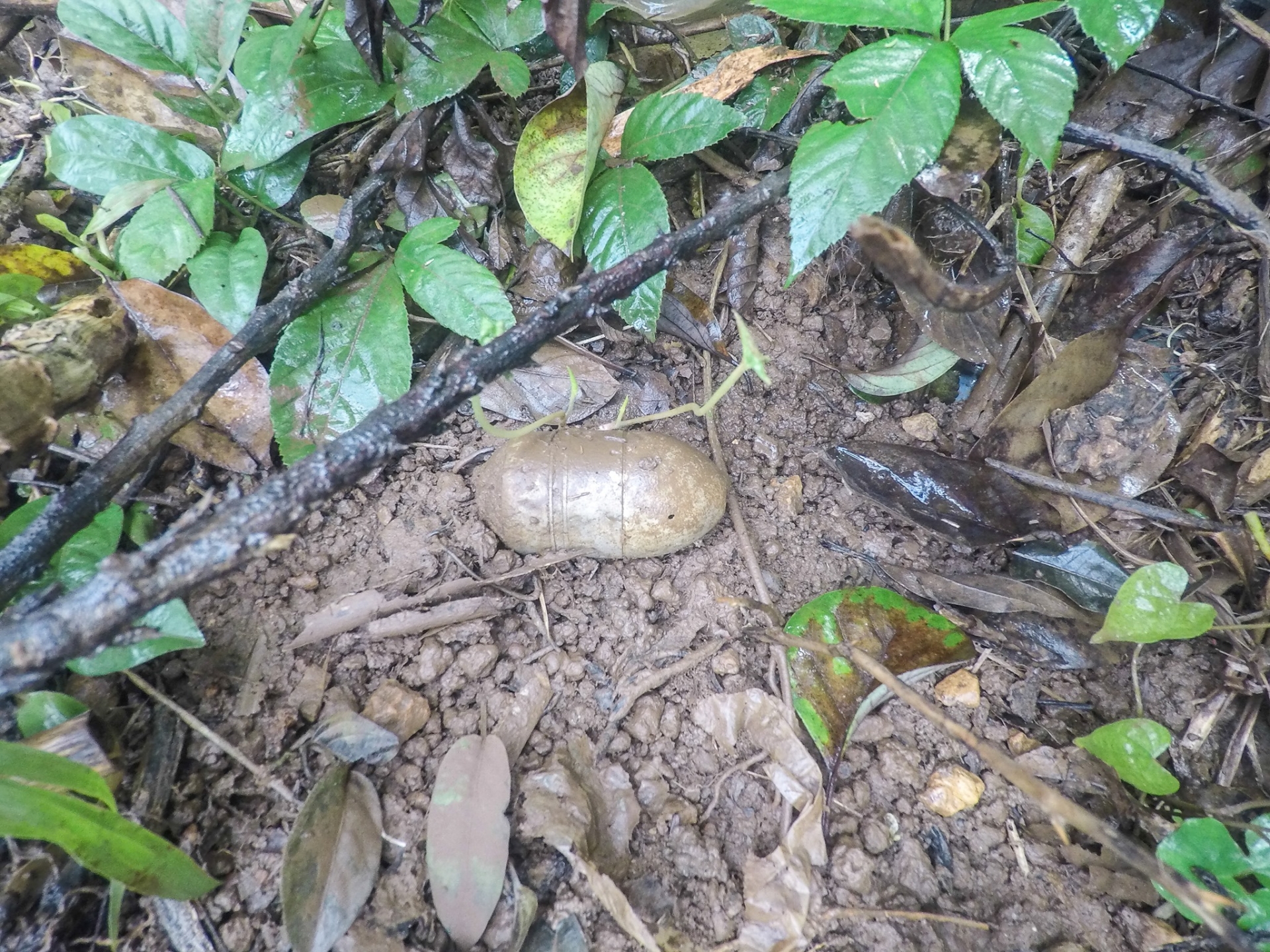 Explosive ordnance exposed after recent torrential rains