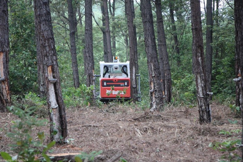 Mechanical demining systems optimized to be cost-effective mechanical demining systems optimized to be cost effective