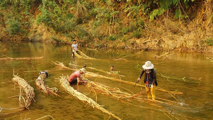 First FSC Certification for Non-Timber Forest Products in Vietnam First FSC Certification for Non-Timber Forest Products in Vietnam