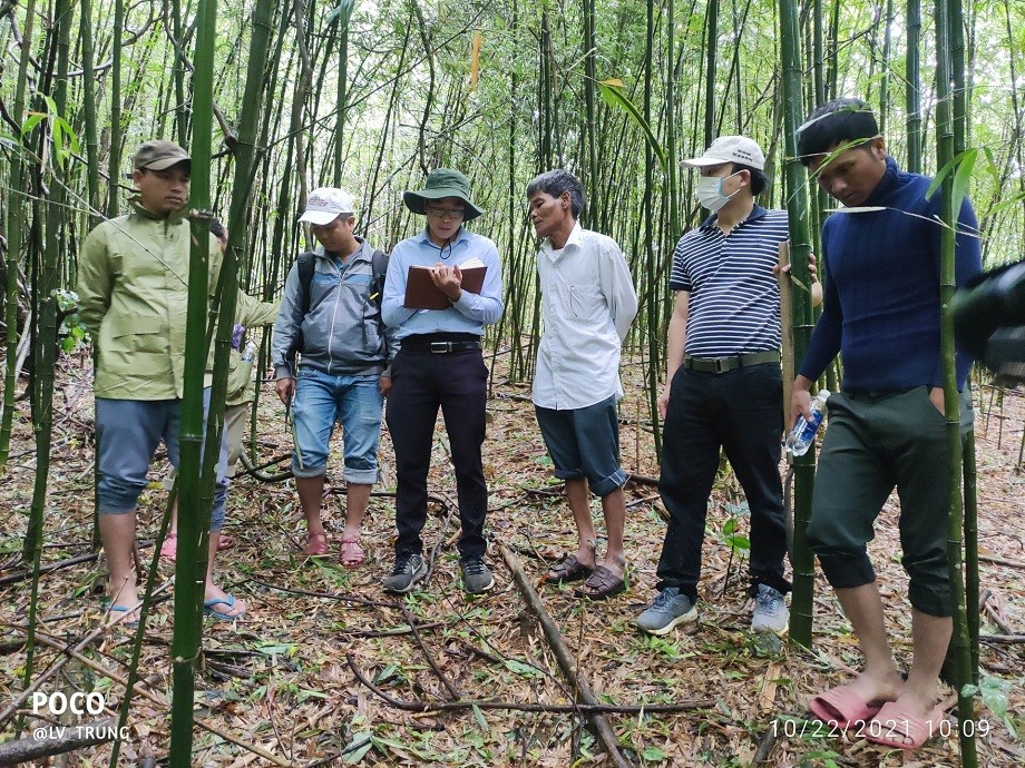 First FSC Certification for Non-Timber Forest Products in Vietnam First FSC Certification for Non-Timber Forest Products in Vietnam