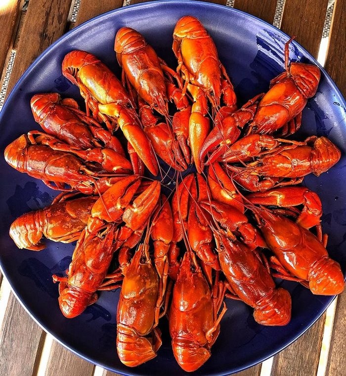 Various Autumn Dishes Around The World for Food Lovers Various Autumn Dishes Around The World for Food Lovers