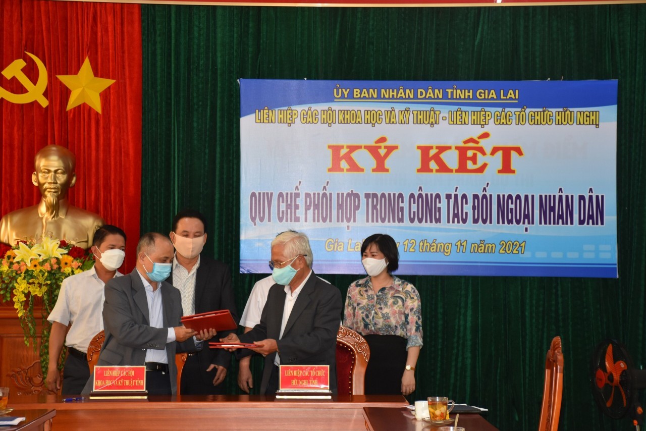 Union of Friendship Organizations Conducts Diverse Activities Amid Covid Union of Friendship Organizations Conducts Diverse Activities Amid Covid