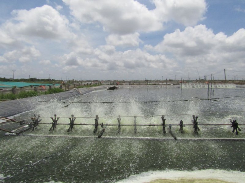 Improving the sustainability and efficiency of aquaculture production in Vietnam improving the sustainability and efficiency of aquaculture production in vietnam