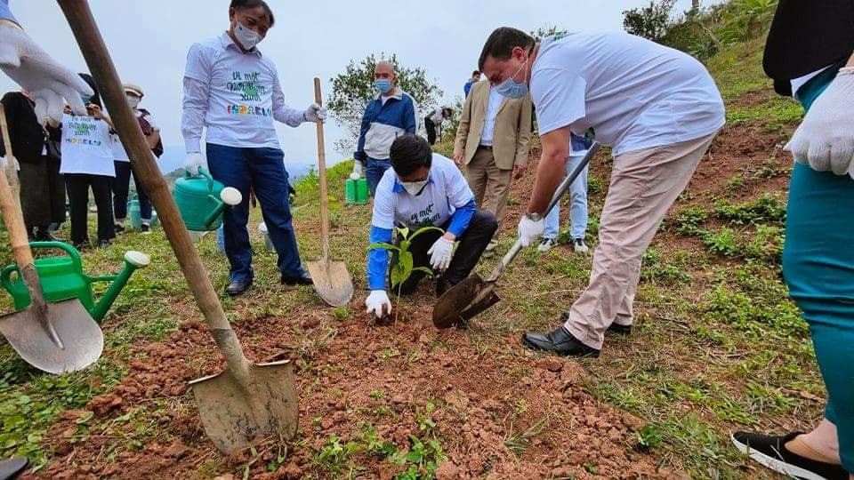 Embassies Plant Trees and Protect Environment for A Greener Vietnam Embassies Plant Trees and Protect Environment for A Greener Vietnam