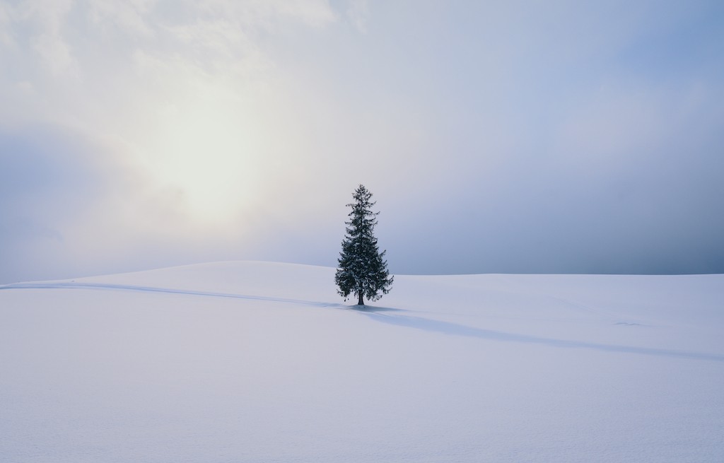 A White Hokkaido in Snowstorm Captured by Vietnamese Street Photographer A White Hokkaido in Snowstorm Captured by Vietnamese Street Photographer