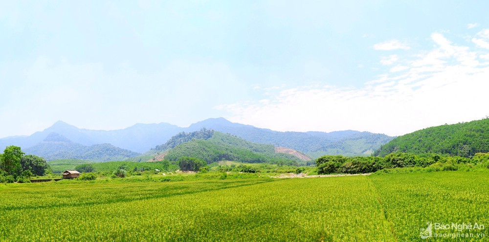 Exploring the Fountain of Youth in Nghe An