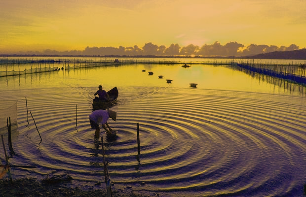 Photo: Bao Da Nang Photo: Bao Da Nang