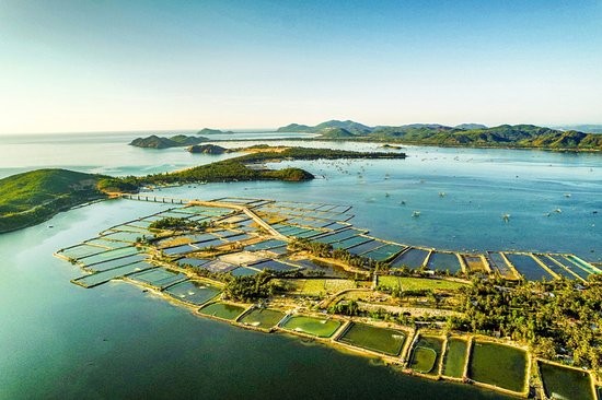 Photo: TripAdvisor Photo: TripAdvisor