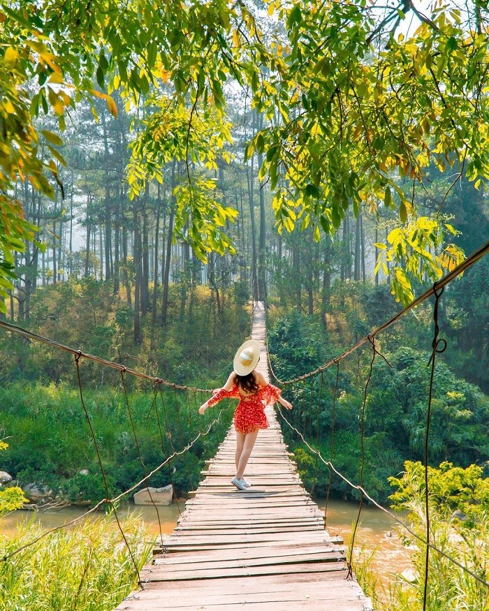 Beautiful Rope Bridges Around Vietnam Beautiful Rope Bridges Around Vietnam