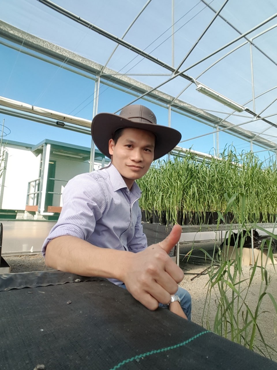 Viet Researcher found a gene that protects 10% of global food Viet Researcher found a gene that protects 10% of global food