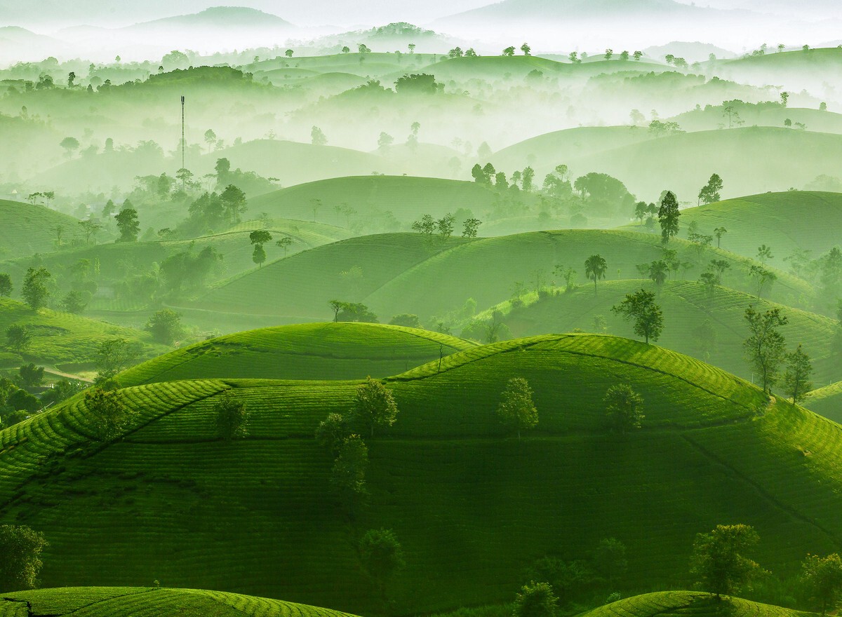 Vietnam Midland's Beauty Won Sliver in International Photos Award Vietnam Midland's Beauty Won Sliver in International Photos Award