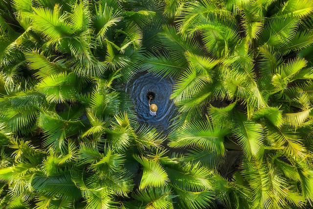Vietnam Midland's Beauty Won Sliver in International Photos Award Vietnam Midland's Beauty Won Sliver in International Photos Award