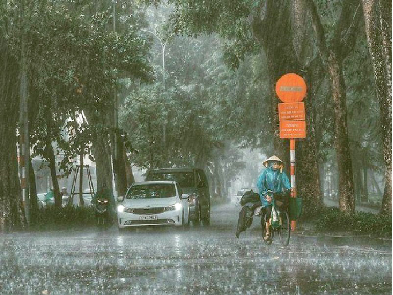 Photo: Nhan dan (People) 5727 rains