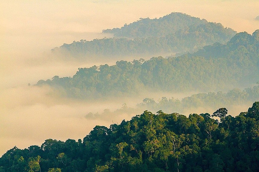 Asian Sites Added to UNESCO World Heritage List Asian Sites Added to UNESCO World Heritage List