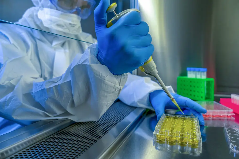 deadly new ebola like disease found in bolivia