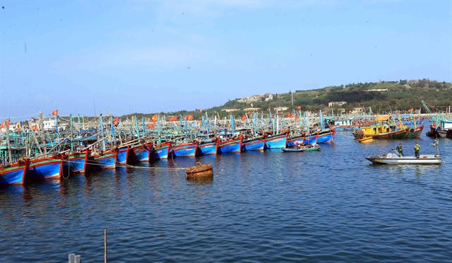 Fishing vessels docked at a port in Bạch Long Vĩ island in the Gulf of Tonkin, Việt Nam. — VNA/VNS Photo An Đăng 2958 vessels