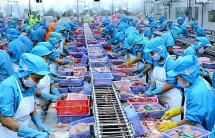 korea and vietnam tighten economic relation despite covid 19 pandemic