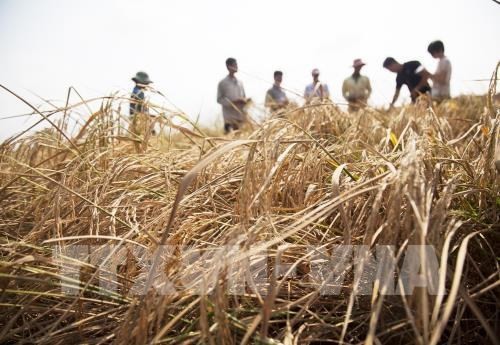 Green Climate Fund supports over $30 million to improve Vietnamese climate resilience green climate fund supports over 30 million to improve vietnamese climate resilience