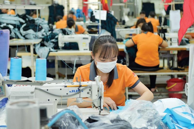 Vietnam small and medium enterprises get 50% tax cut proposed 50 tax cuts proposed for vietnam small and medium enterprises