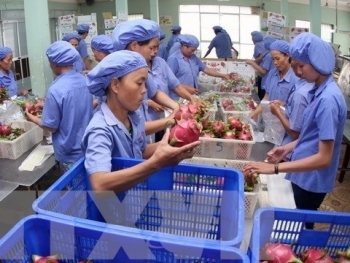 vietnams proposed growth taget in 2020 ambitious but not unrealistic