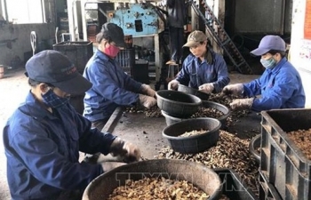 finance industry dominates forbes vietnam list of top 50 listed firms