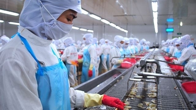 Vietnam posts nearly USD 2 billion of trade surplus in the first five months vietnam posts nearly usd 2 billion of trade surplus in the first five months