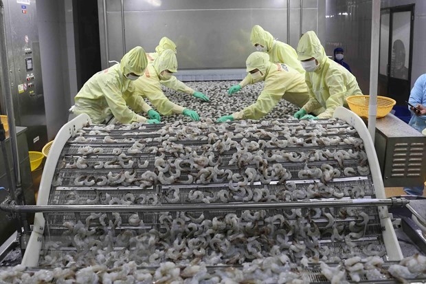 Vietnam posts nearly USD 2 billion of trade surplus in the first five months vietnam posts nearly usd 2 billion of trade surplus in the first five months