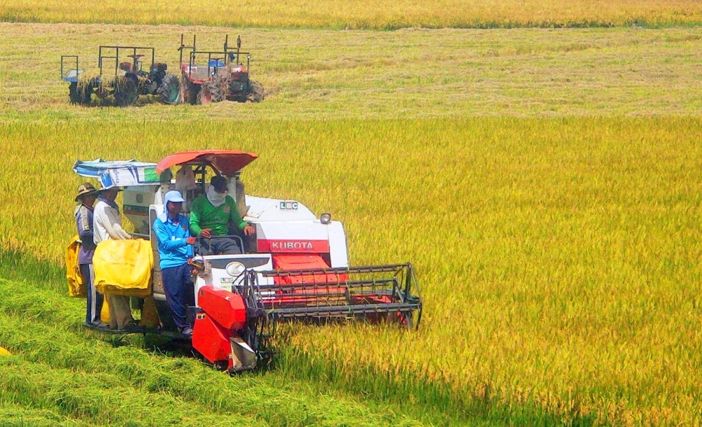 Rice Production Presents Great Opportunities For Circular Economy Development in Vietnam 1755-mekong-ven