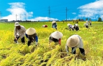 vietnam agriculture set to be in worlds top 15 by 2030