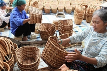 ignite initiative to support over 50000 women entrepreneurs in vietnam