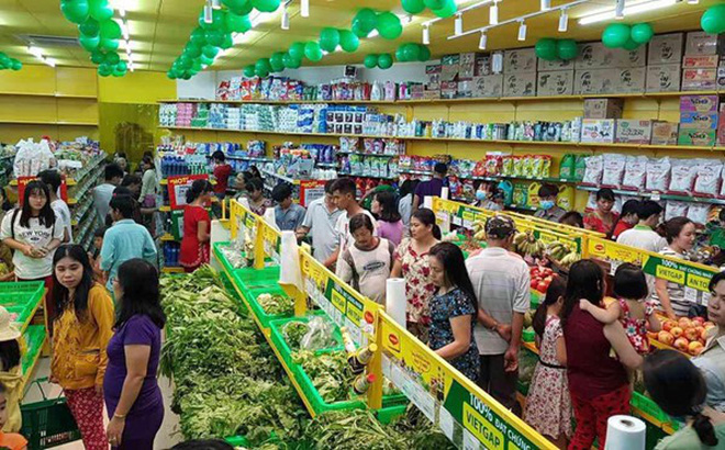 Bach Hoa Xanh has 43% in Fresh food market share in Vietnam (source: mwg.vn) 1126 bach hoa xanh