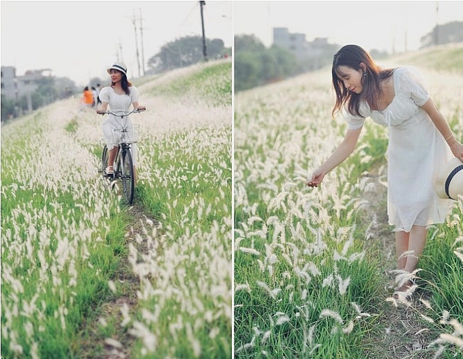 3 picturesque grasslands attract the young in Hanoi 3 picturesque grasslands attract the young in Hanoi