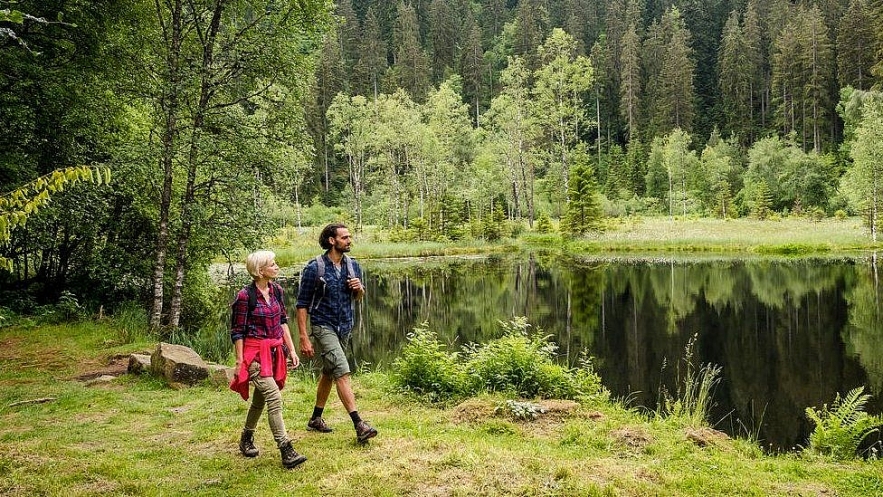 5 most unique travel trends hit in 2020 amid Covid-19 pandemic 5 most unique travel trends hit in 2020 amid Covid 19 pandemic