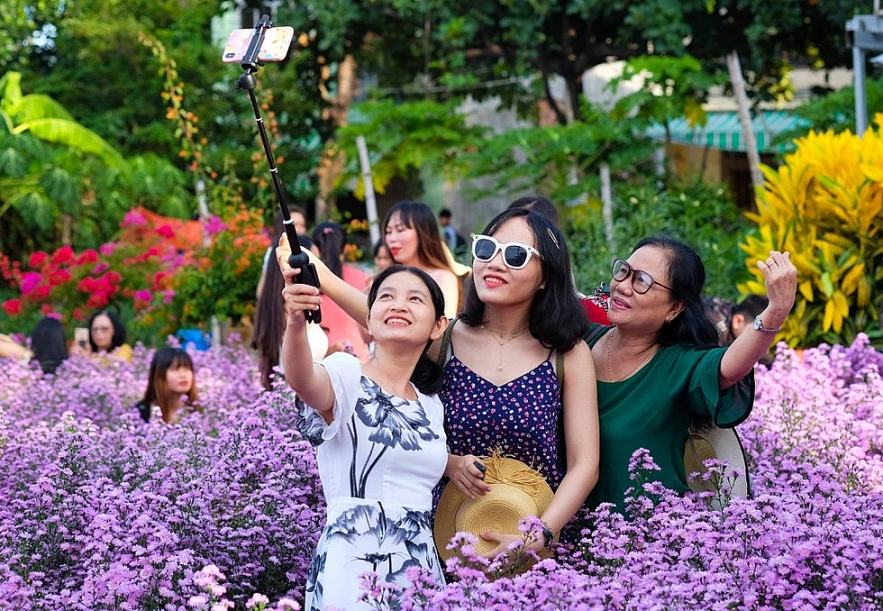 Crowd happily photographing Da Nang's first aster amellus garden Crowd happily photographing Da Nang's first aster amellus garden
