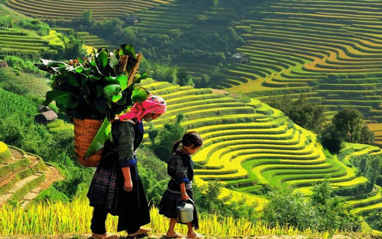 Từ bản sắc vùng miền đến sinh kế cộng đồng Từ bản sắc vùng miền đến sinh kế cộng đồng