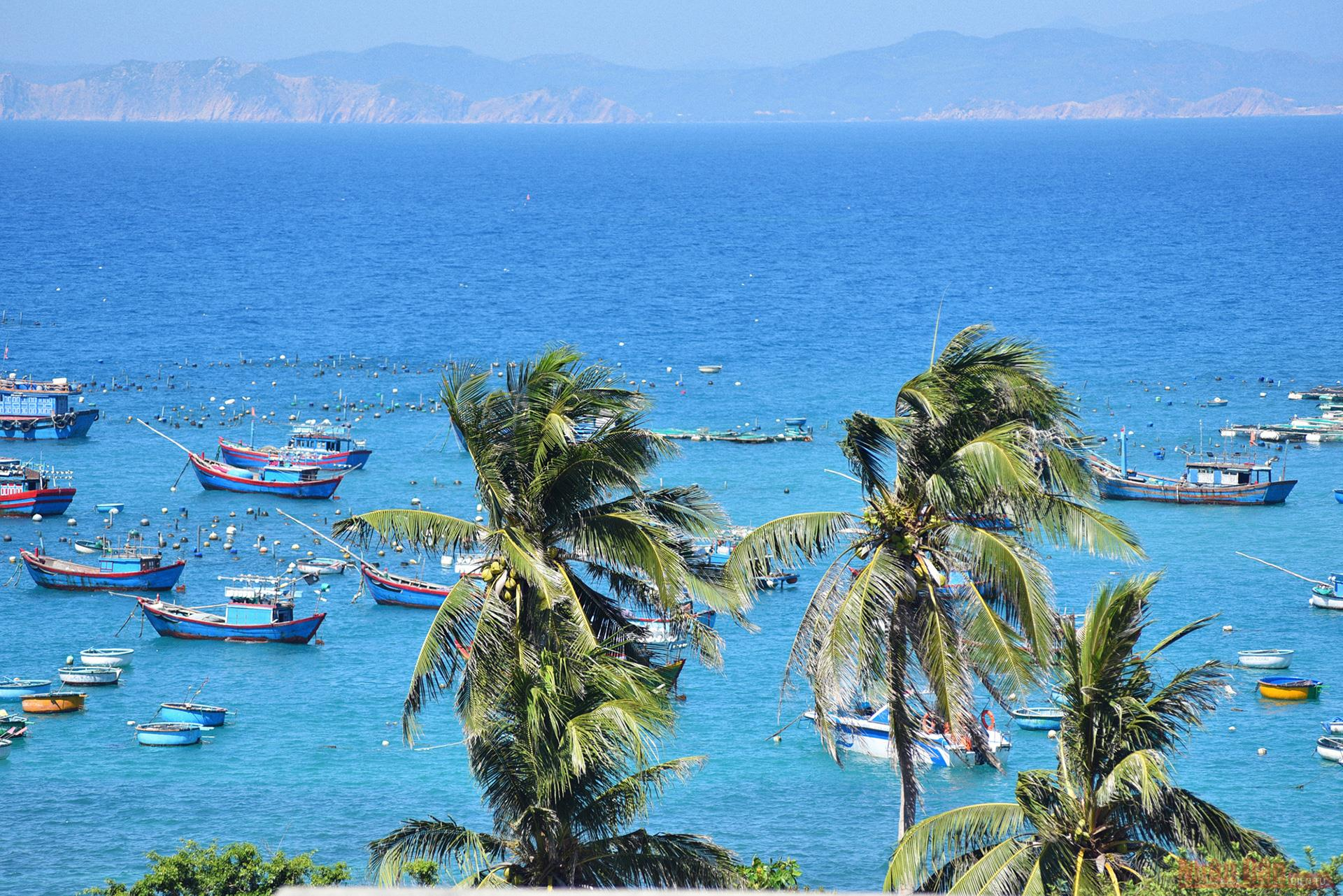 Cu Lao Xanh - a Blue Lagoon of Vietnam 5517 clc
