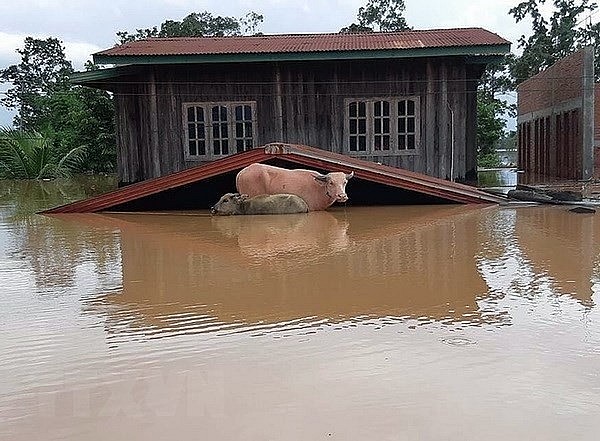 3 NGOs to Take Steps to Enhance Disaster Preparedness in Vietnam 3 NGOs to Take Steps to Enhance Disaster Preparedness in Vietnam